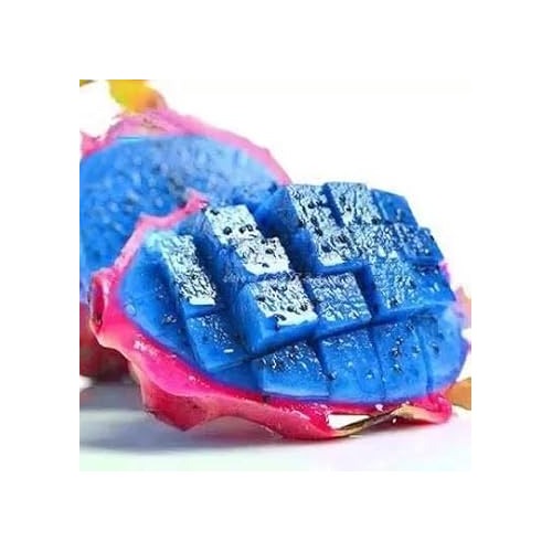Blue Pitaya Fruit Seeds [neera-v5-e6d1437d556e9d45c9b3]