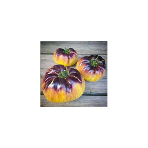 Brandywine Red &amp; Yellow Tomato Seeds for Planting [neera-v5-e6ea16d20850602cd712]