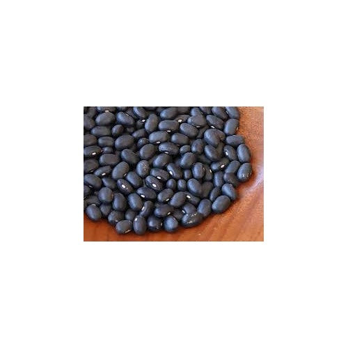Heirloom Black Turtle Pole Bean Seeds [neera-v5-e6ed3db7c49d3b826fbe]