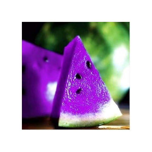 Green Purple Watermelon Fruit Seeds for Planting [neera-v5-e727a5ca8b6fde086da8]
