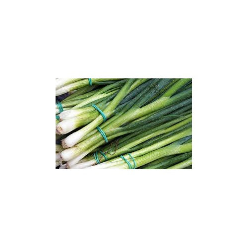 Green Spring Onions (Scallions) Vegetable Seeds for Planting [neera-v5-e73e858ad2a46b055ca4]