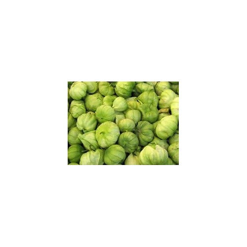 Green Tomatillo Seeds for Planting [neera-v5-e7960c5e669a30722b0f]