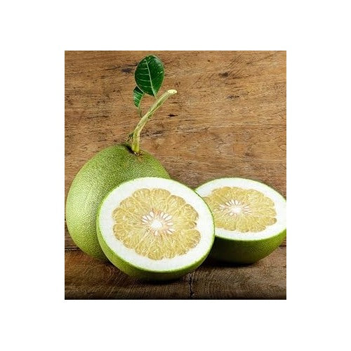 Melon Pinonet Fruit Seeds for Planting [neera-v5-e7e08fde7a46772179bc]