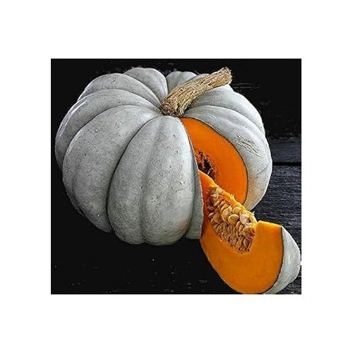 Grey Pumpkin Vegetable Seeds for Planting [neera-v5-e81436a1bfae85cae147]