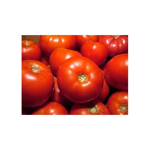 Heirloom Red Tomato Seeds for Planting [neera-v5-e83081ca1b333871d8eb]