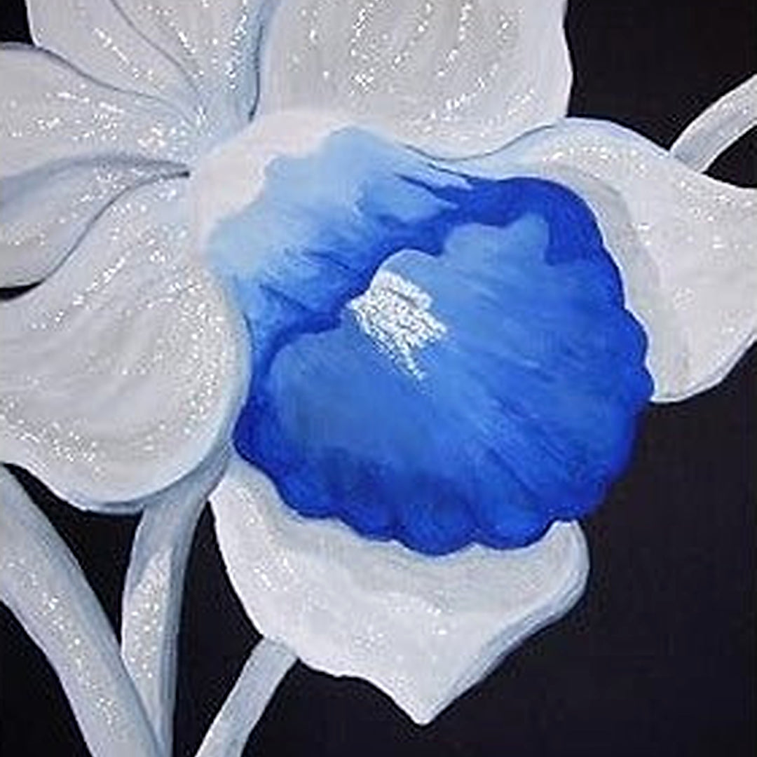 Blue White Daffodil Flower Seeds for Planting [neera-v5-e8eef71df1a43e936cc3]