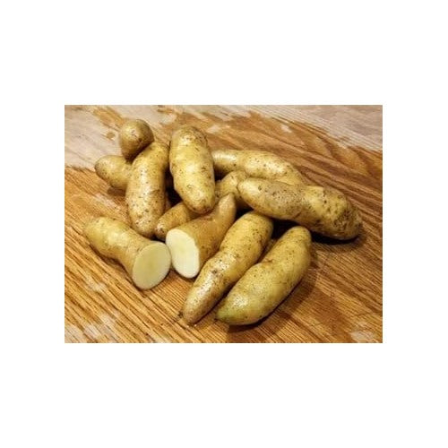 Heirloom Banana Fingerling Potato Vegetable Seeds [neera-v5-e9516a0e0881e2744998]