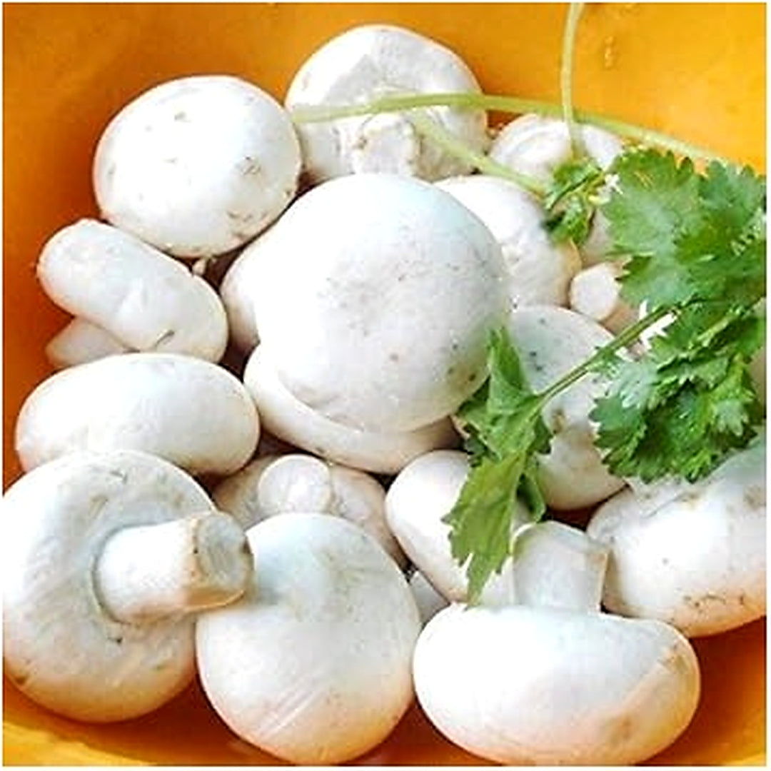 White Button Mushroom Seeds for Planting [neera-v5-e98658d656259f2498df]