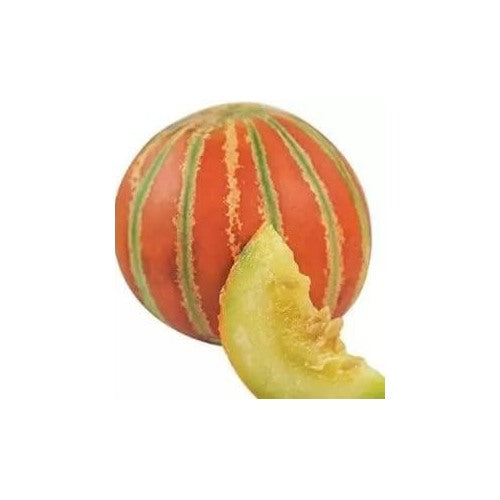 Red and Green HAMI Melon Fruit Seeds [neera-v5-e9c306710b171758a4f4]
