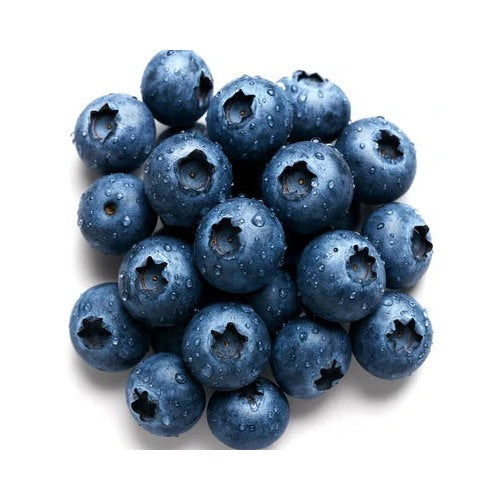 European Blueberry Bilberry Rare Autumn Low Bush Sweet Heirloom Non Gmo Fragrant Climbing Annual [neera-v5-ea96e153428969532120]