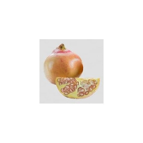 White Pomegranate Fruit Seeds for Planting [neera-v5-eb22c4458813786cad5f]