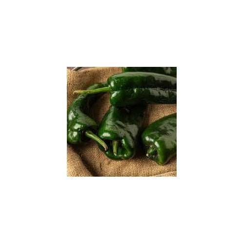 Chile Pepper Capsicum Vegetable Seeds for Planting [neera-v5-ed5778914ae112139d33]