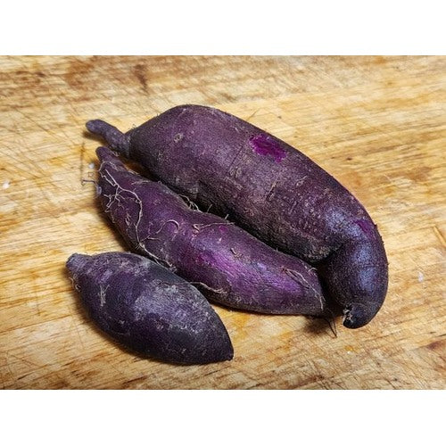 Purple Sweet Potato Seeds for Planting [neera-v5-eda8fe86ec9a12507002]