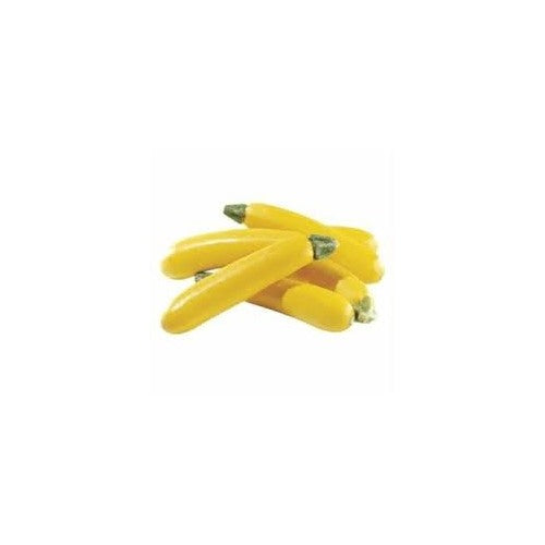 Yellow Zucchini Squash Vegetable Seeds for Planting [neera-v5-edadfa6be62c6c08315a]