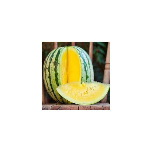 Golden Honey Watermelon Fruit Seeds for Planting [neera-v5-edc453079e1c9ff5041d]