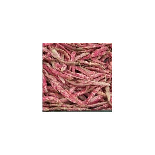 Red Bean Seeds for Planting [neera-v5-ee18f1acd200d2b6ed94]