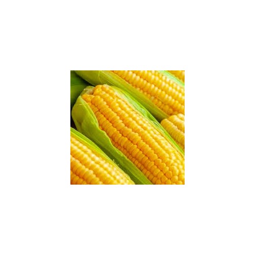 Sweet Corn Golden Bantam Seeds [neera-v5-ee48a906e28a866bc6b9]