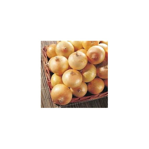 Yellow Onion Vegetable Seeds for Planting [neera-v5-eede9079b6f1b97791f9]