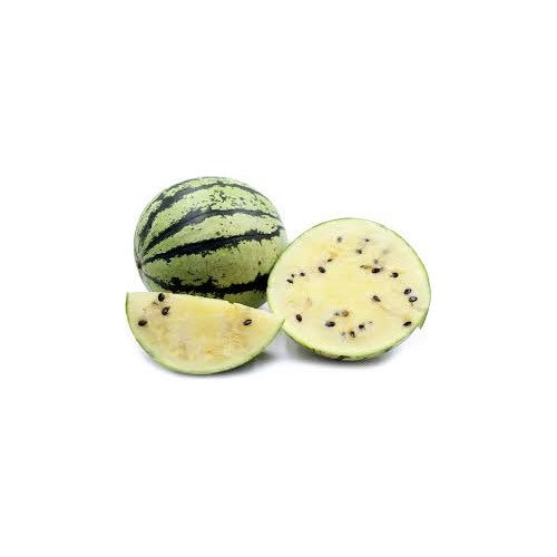 Japanese White Watermelon Seeds for Planting [neera-v5-ef0048673fd069010d1a]