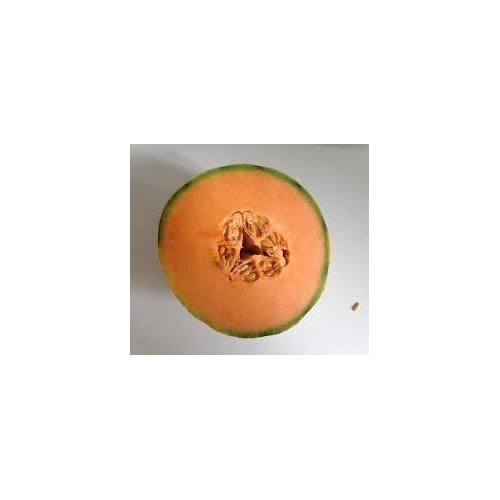 Muskmelon (Cucumis melo) Fruit Seeds for Planting [neera-v5-ef3ec819ef5e61803cf6]