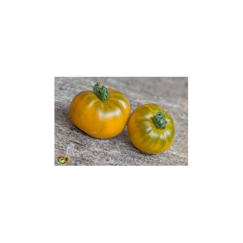 Orange Green Tomato Vegetable Seeds for Planting [neera-v5-efc14064488617623c4e]