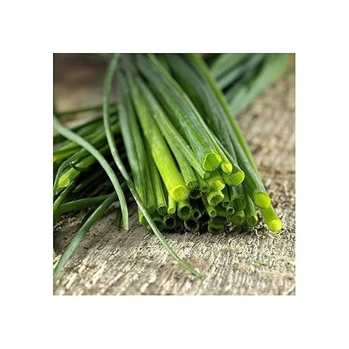 Chives Common Seeds for Planting [neera-v5-f003cba2d1e1830c9843]