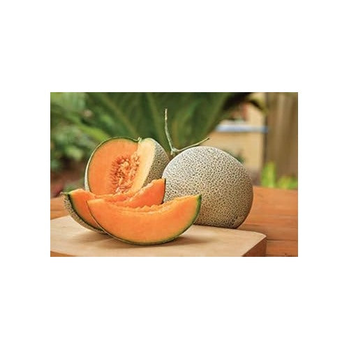 Yellow Cantaloupe Fruit Seeds for Planting [neera-v5-f0454c199cebf6ea3dea]