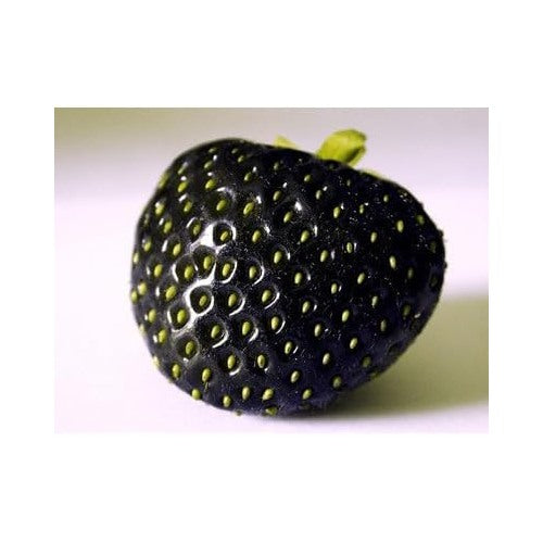 Strawberry Fruit Seeds for Planting [neera-v5-f04b31f0494f30589f87]