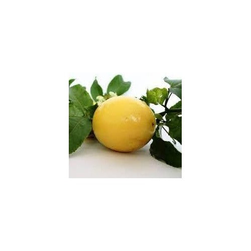 Passionfruit Seeds [neera-v5-f0a6d1af0122032a543f]