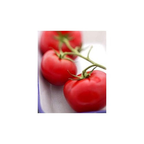 Dark Red Tomato Seeds for Planting [neera-v5-f11a972b599e34cd72fa]
