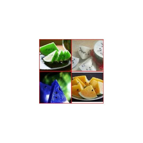 Multi-Colour Watermelon Fruit Seeds for Planting [neera-v5-f17ac33efe53b898975d]