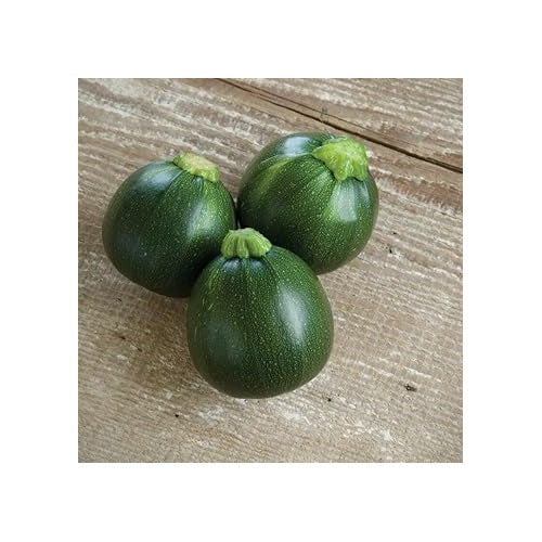 Eight Ball Squash Vegetable Seeds for Planting [neera-v5-f18589099ba63d2e3983]