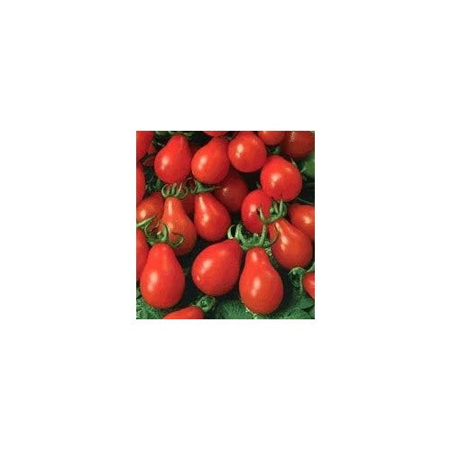 Red Tomato Seeds for Planting [neera-v5-f18d2e0ffdb84658d2fd]