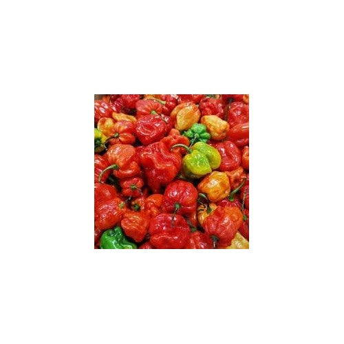 Ajicitoo Pepper Seeds for Planting [neera-v5-f1f1064a6ac505162b3a]
