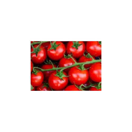 Dark Pink Tomato Seeds for Planting [neera-v5-f2689abaa64c37427da1]