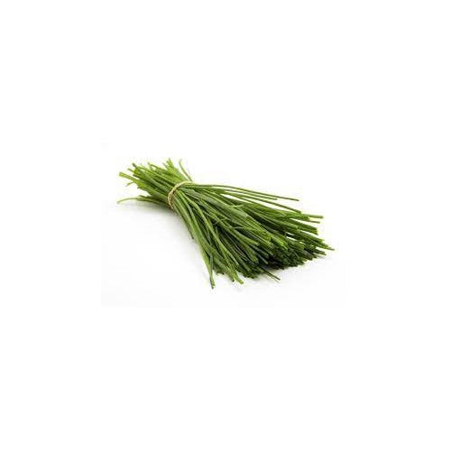 Chives Common Seeds for Planting [neera-v5-f2f0d59f04b15bf1201d]