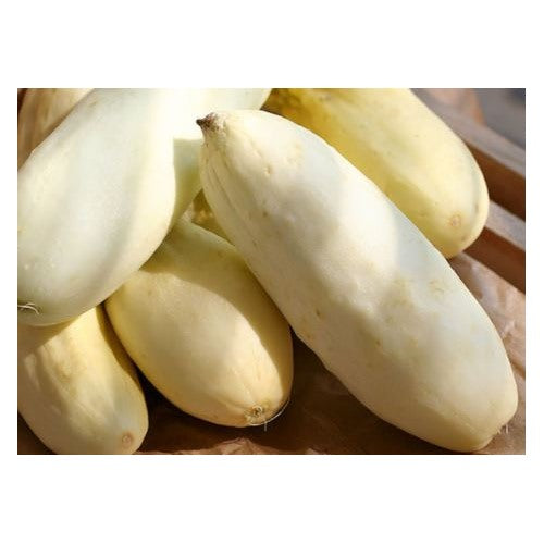 Cucumber Redlands Long White Vegetable Seeds for Planting [neera-v5-f32056ba864bfb9912db]