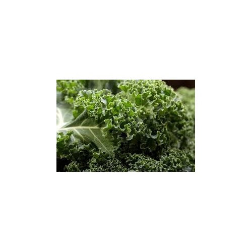 Heirloom Non-GMO Kale Vegetable Seeds for Planting [neera-v5-f3331fb4c4b78a094d88]
