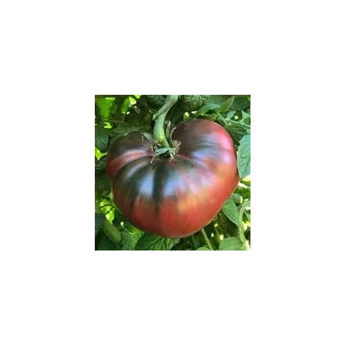 Red Brown Tomato Seeds for Planting [neera-v5-f3a6c0853183f215605a]