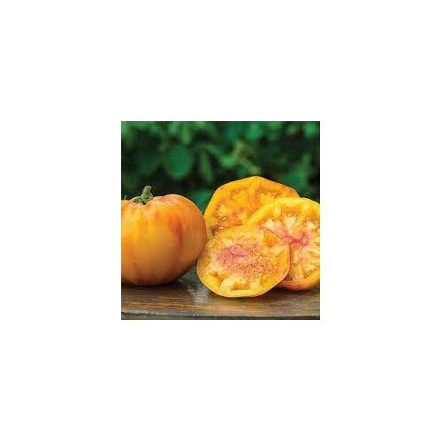 Gold Tomato Seeds for Planting [neera-v5-f3b5ac38aa23cf26c646]