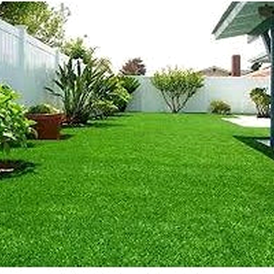 Green Lawn Grass Fresh Soft Lawn And Natural Planting Flower Seeds Home Garden Planting, [neera-v5-f50313fe2b53bf90b992]