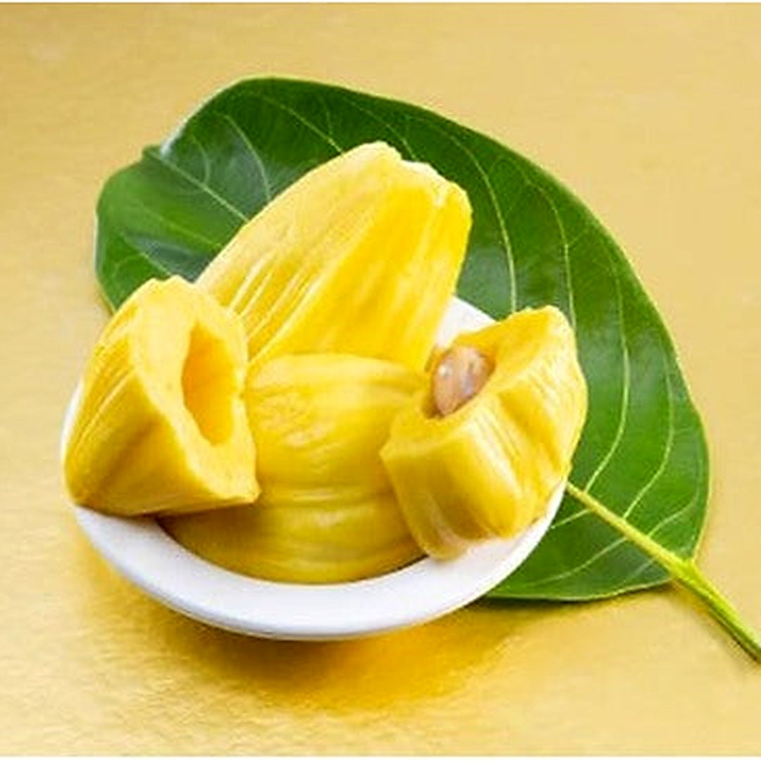 Jackfruit Kathal Fruit Seeds for Planting [neera-v5-f56c0dbc1d36f07e3210]