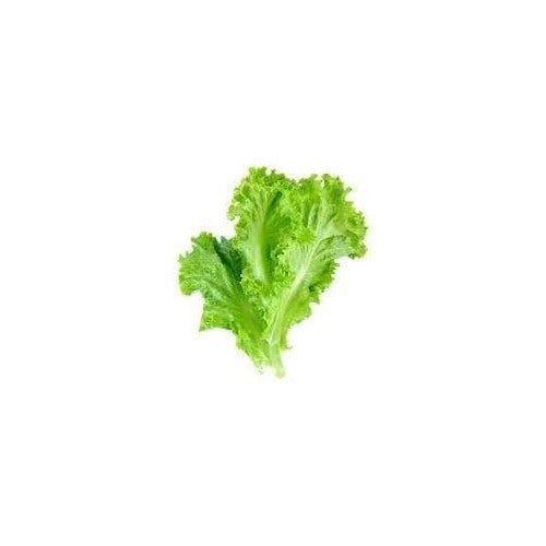 Lettuce Vegetable Seeds for Planting [neera-v5-f57b7fee2e551a0b55b0]