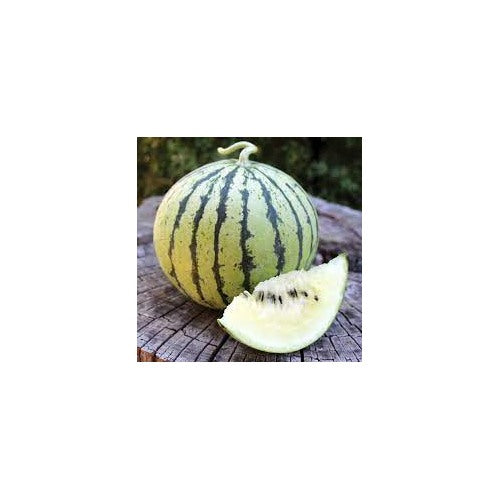 Cream of Saskatchewan Watermelon Fruit Seeds for Planting [neera-v5-f5eafd97cf4d2e6349b6]