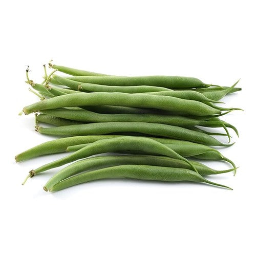 Green Bean Bush Prevail With Gift Garden Flower Seeds Home Garden Planting, Fragrant [neera-v5-f67b095ce0af91caf04c]