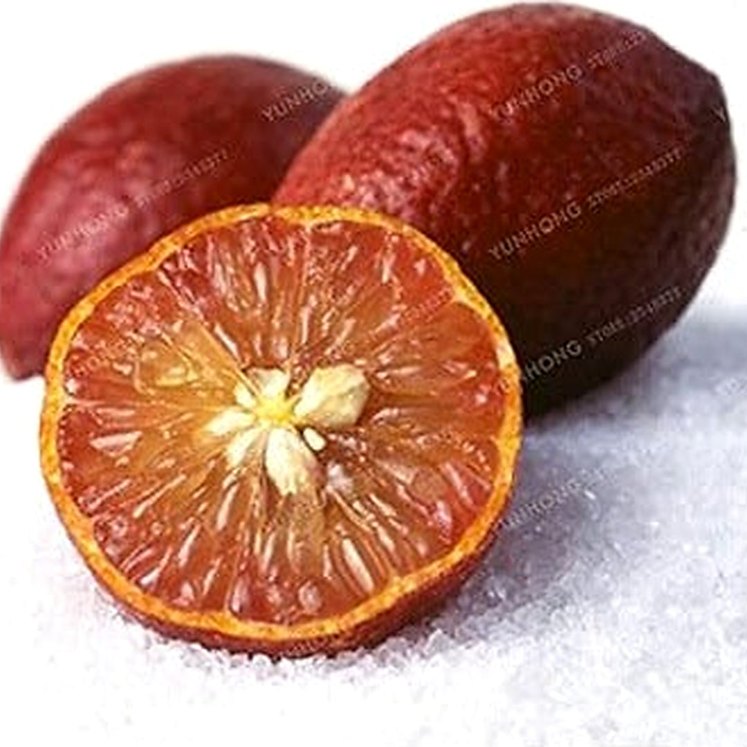 Red Lemon Fruit Seeds for Planting [neera-v5-f783d6cd07b8df75da9d]