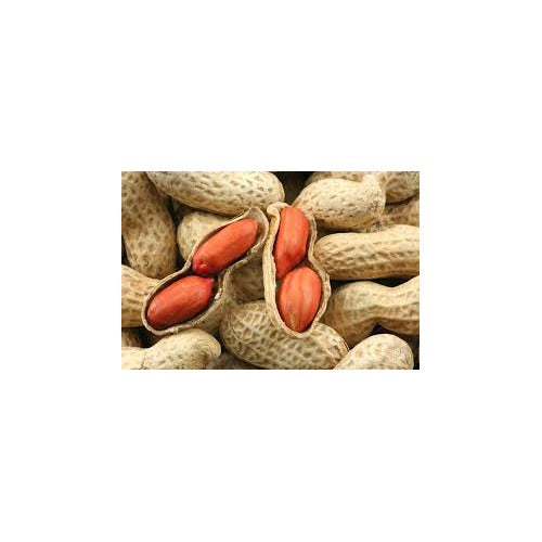 Spanish Peanut Vegetable Seeds for Planting [neera-v5-f86c043037fb9617724c]