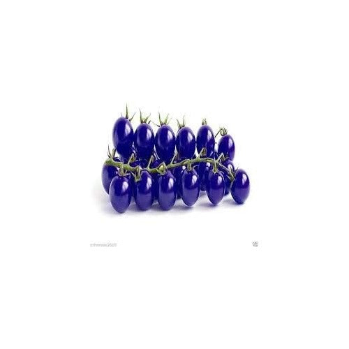 Dark Blue Tomato Seeds [neera-v5-f8d2978a1393eaa8dcb6]