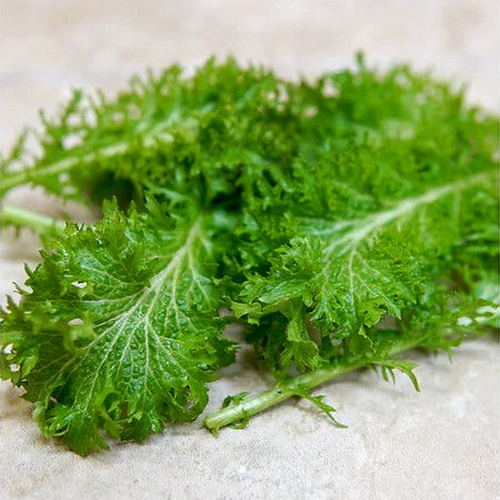 Wasabina Mustard Seeds for Planting [neera-v5-f9c9c3a34013d0d98538]