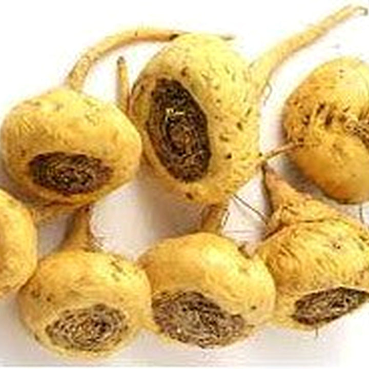 Maca Vegetable Seeds for Planting [neera-v5-f9e4674a8b02e941dca6]